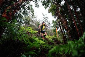 BIB: 
                            <button type="button" onclick="openModal(26204119)" class="btn btn-primary btn-sm float-right btn-popup" data-toggle="modal" data-target=".modal-high-quality">
                        <i class="fas fa-shopping-cart"></i> Add to Cart
                    </button>
                                            <button type="button" onclick="isThisMe(26204119, true)" class="btn btn-success btn-sm float-right btn-popup btn-isme hidden" data-toggle="tooltip" data-placement="bottom" title="นี่คือรูปของคุณใช่ไหม คลิกที่นี่เพื่อเอาเข้าอัลบั้ม">
                        <i class="fas fa-plus"></i> Add to album
                    </button>
                    <button type="button" onclick="isThisMe(26204119, false)" class="btn btn-warning btn-sm float-right btn-popup btn-isnotme hidden">
                        <i class="fas fa-ban"></i> Remove from album
                    </button>